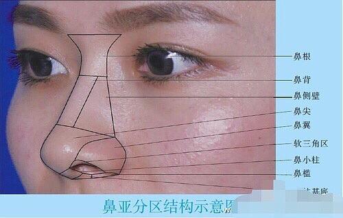 说说我认识的鼻综合 知乎