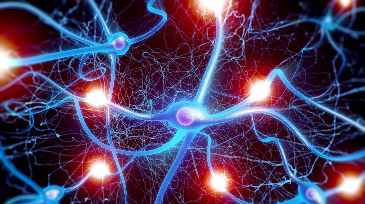 人工神经网络中的神经元