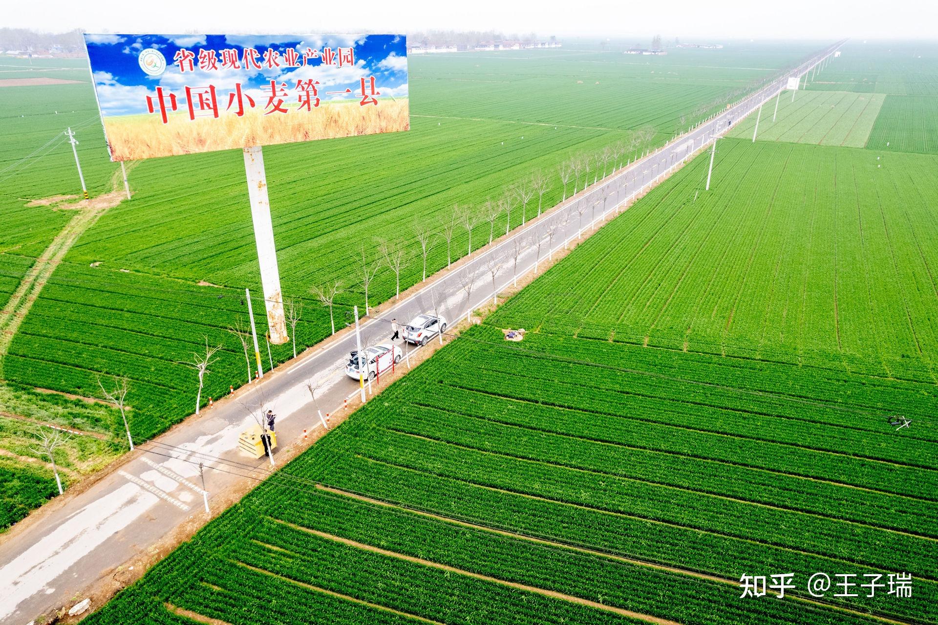 小麦产业园