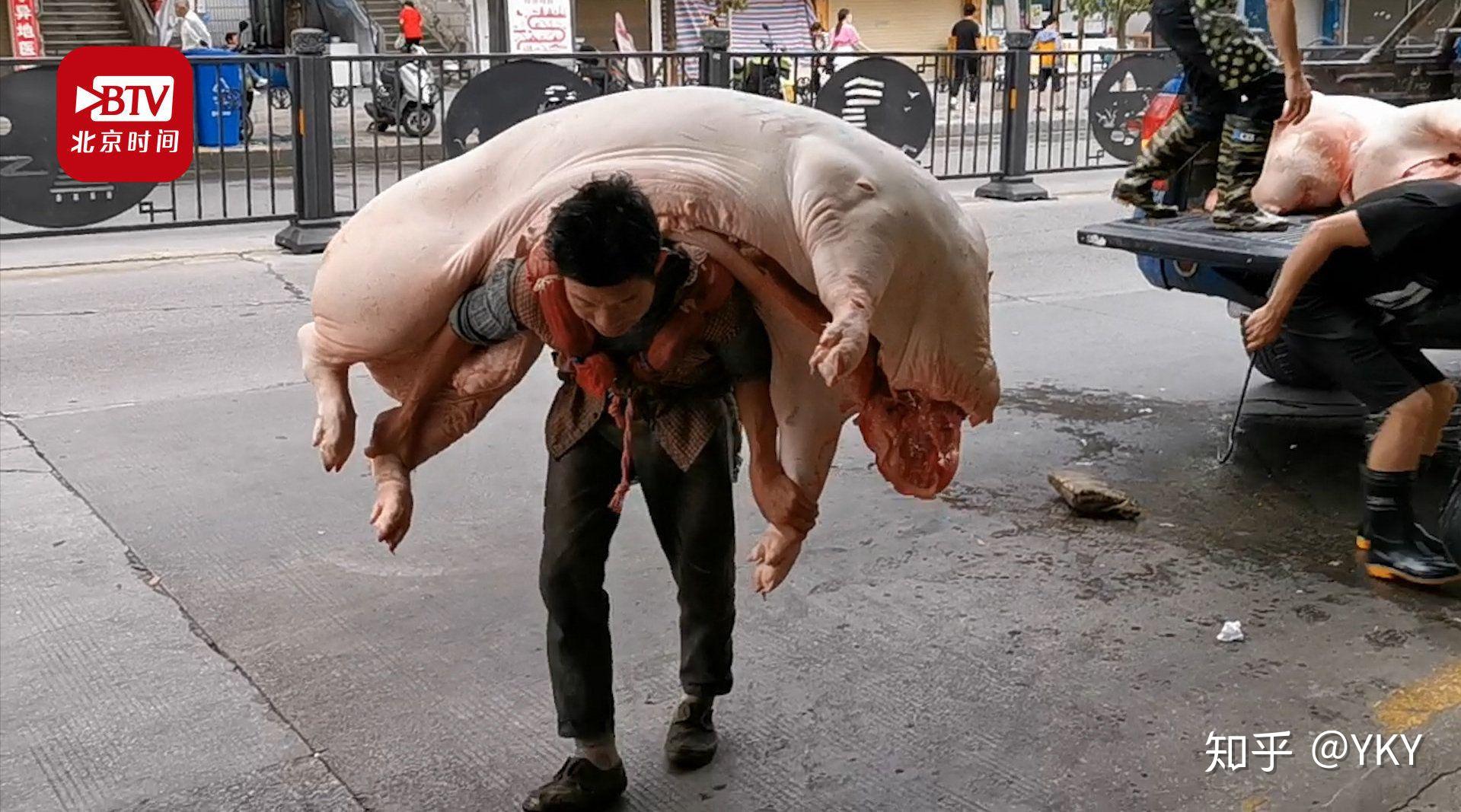 背猪汉一一朱启伍