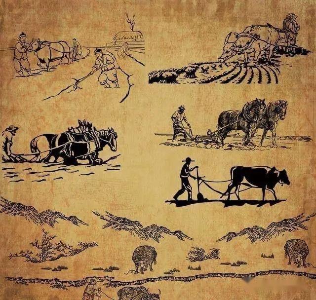 农业在古代中国为什么扮演着至关重要的角色？ - 知乎