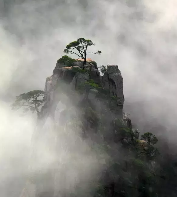 留白摄影构图，体现极简摄影美学的最佳方法！ 知乎 