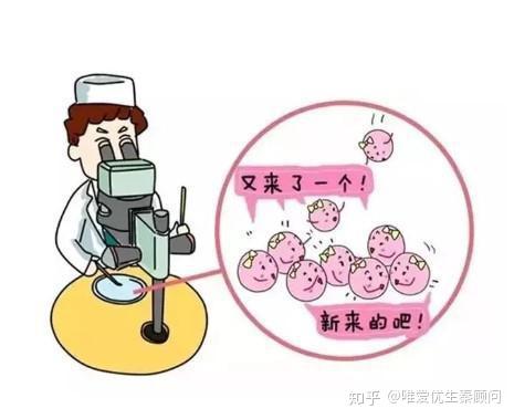25岁做供卵试管会不会太早