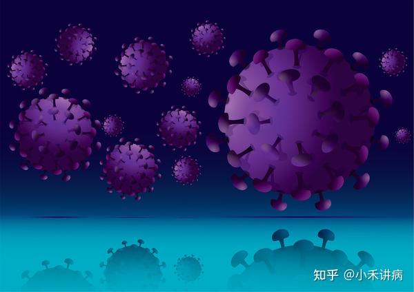 诺如病毒感染诺如病毒是什么? - 知乎