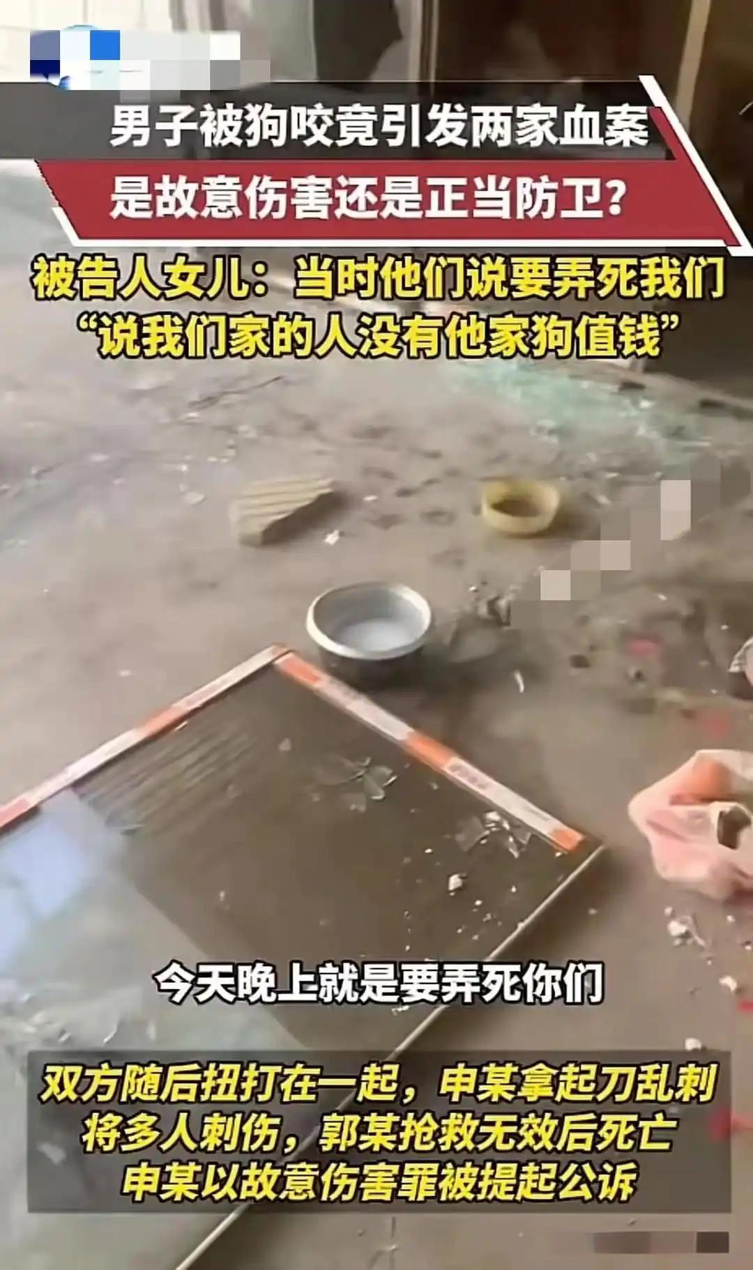 狗咬人被摔死狗主人上门被反杀案件已经开庭了