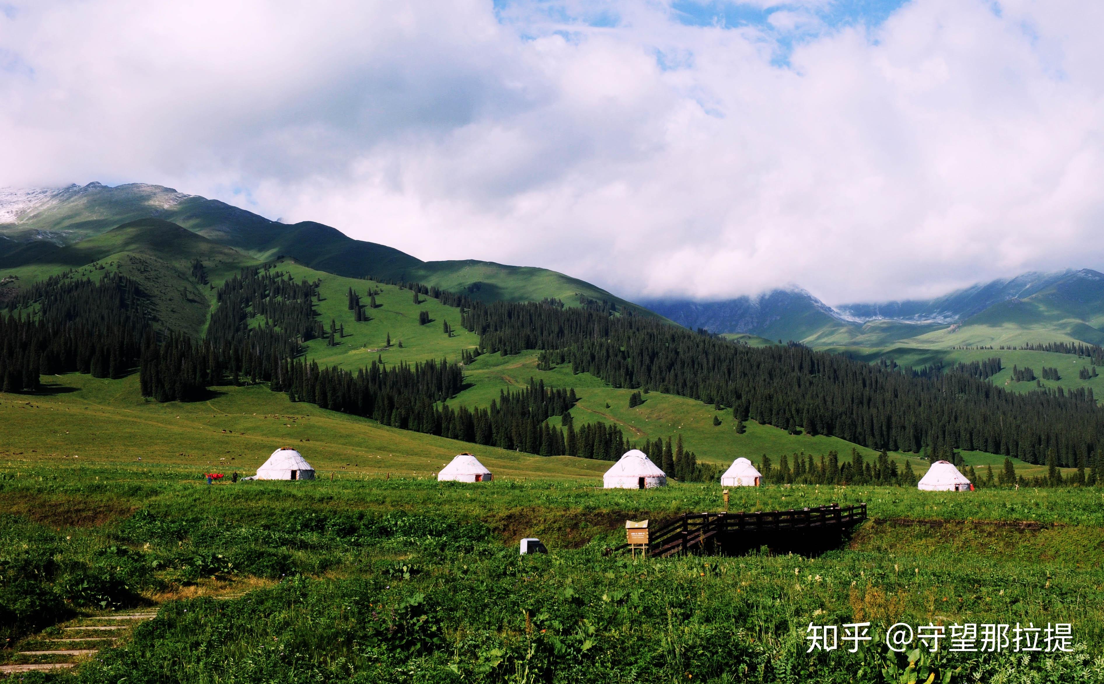 清新碧波▼那拉提地處天山腹地,位於