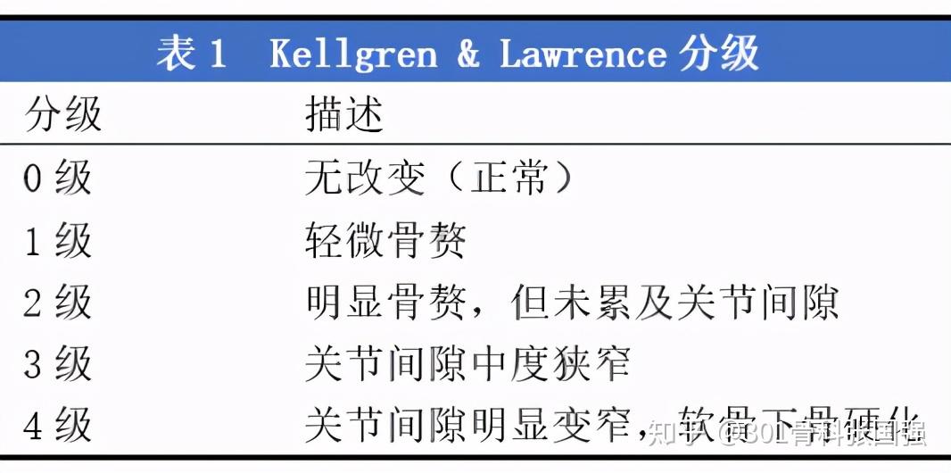 论髋关节炎的检查与诊断
