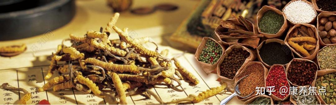 康养词条28 | 中医药+康养,持续为产业添活助力 - 知乎