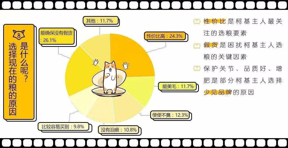 柯基如何为柯基挑选一款好粮