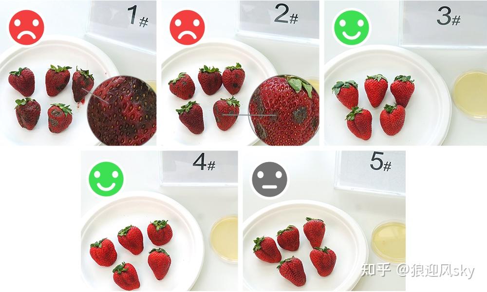 5款国内外大牌空气净化器深度数据测评,怎么选最适合你家?-各大空气净化器评测视频