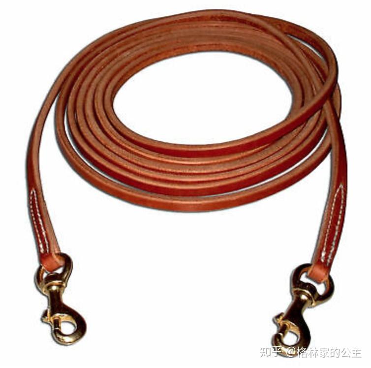 常见的训练辅助装备Draw Reins & Side Reins中篇 知乎