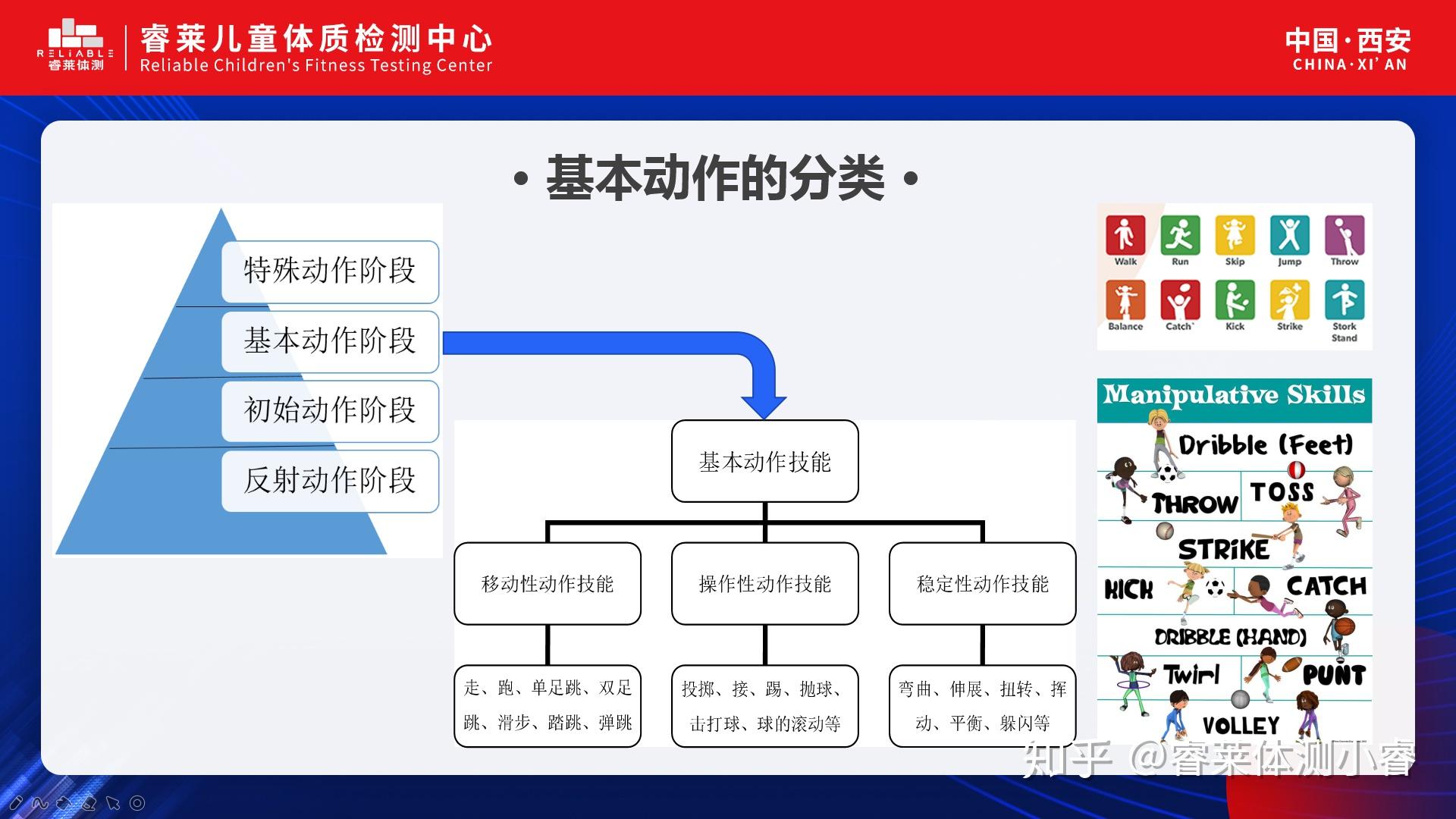 1,基本动作技能形成的根基 — 基础动作模式