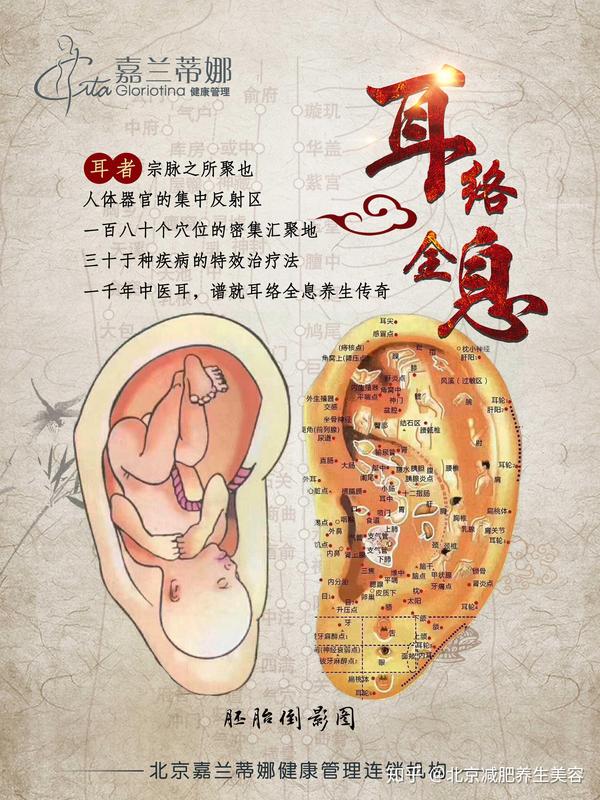 胜于足疗的养生新方式—耳络全息,您了解吗?