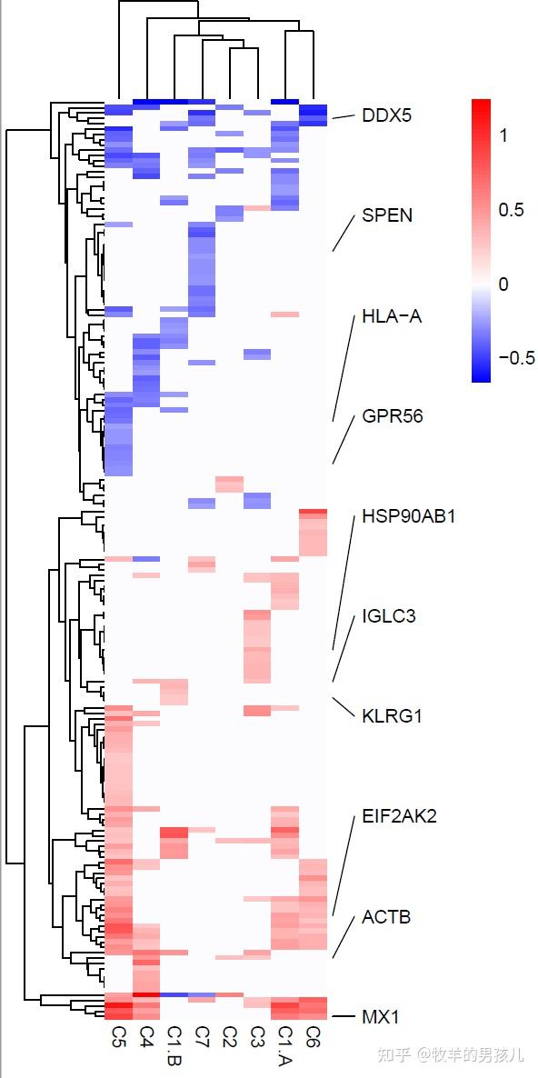 跟着nature Methods学画图：r语言画热图（pheatmap）展示基因表达量 知乎