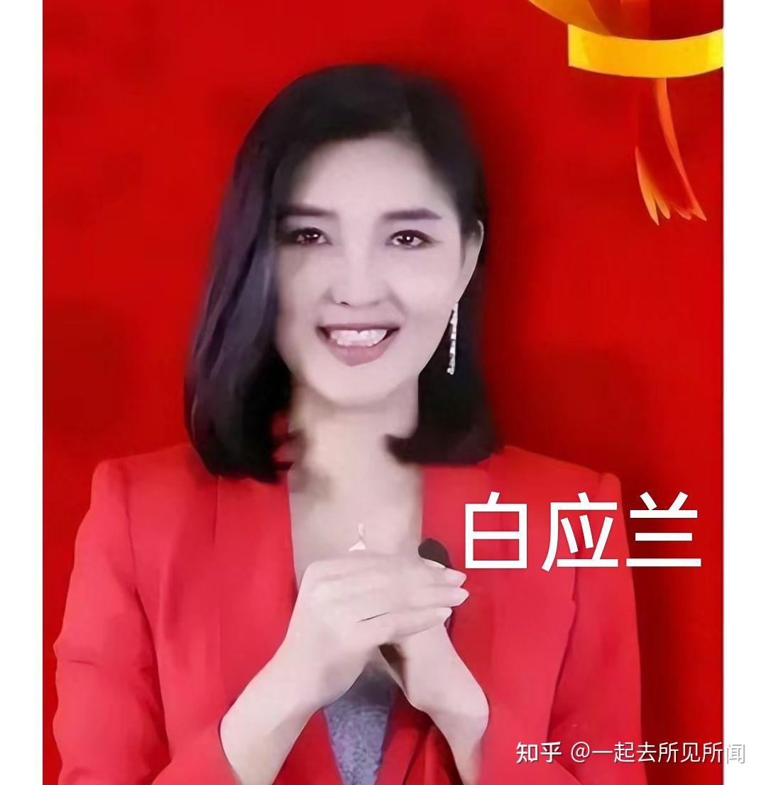 缅甸白所成出逃被拦儿子白应苍已被警方通缉