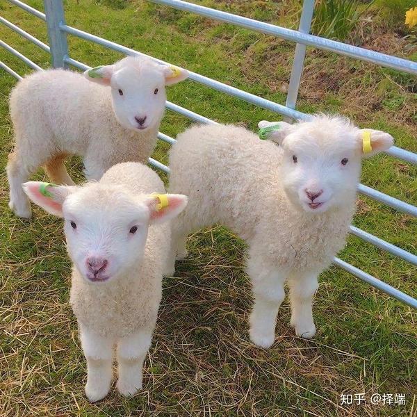 文案 有趣的英语朋友圈文案 知乎