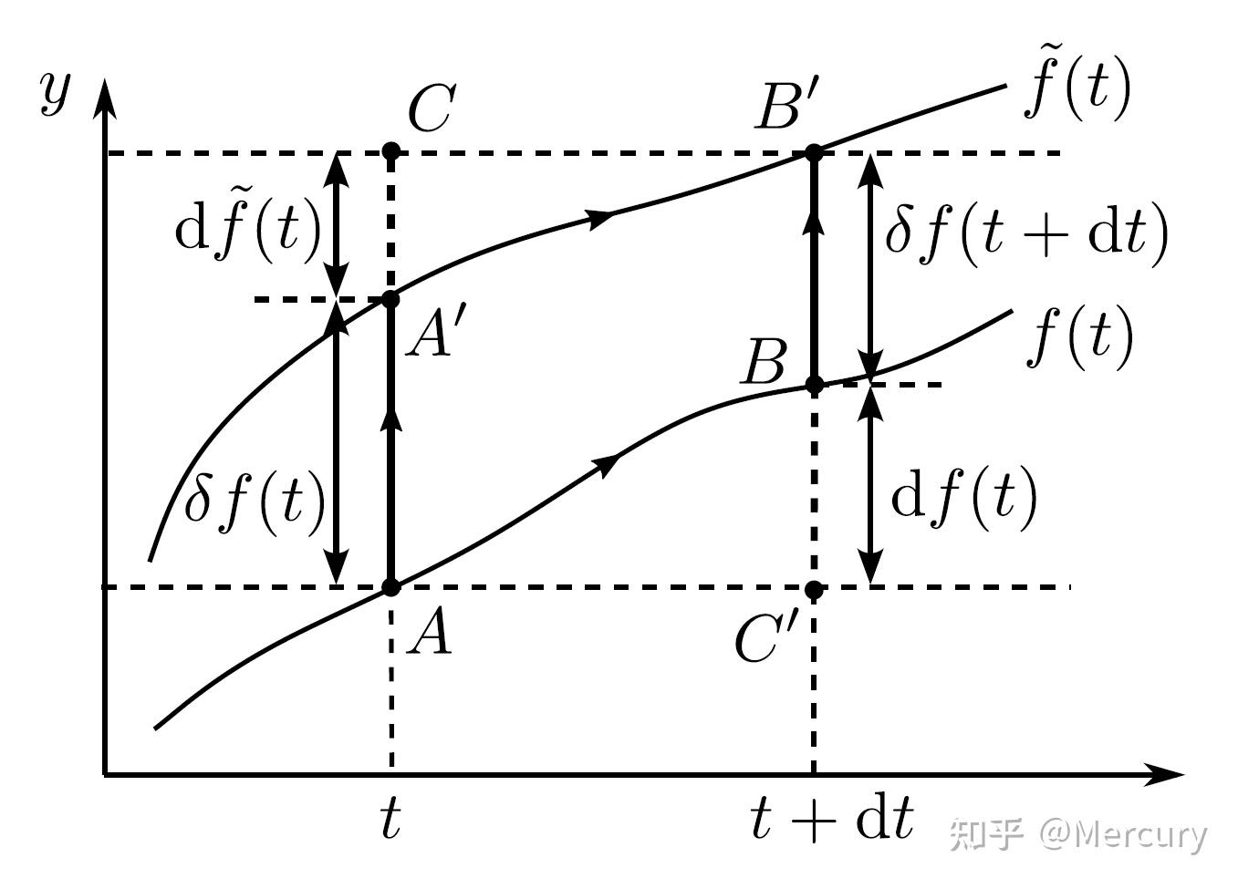 高显的魔法书——(一)变分法 - 知乎