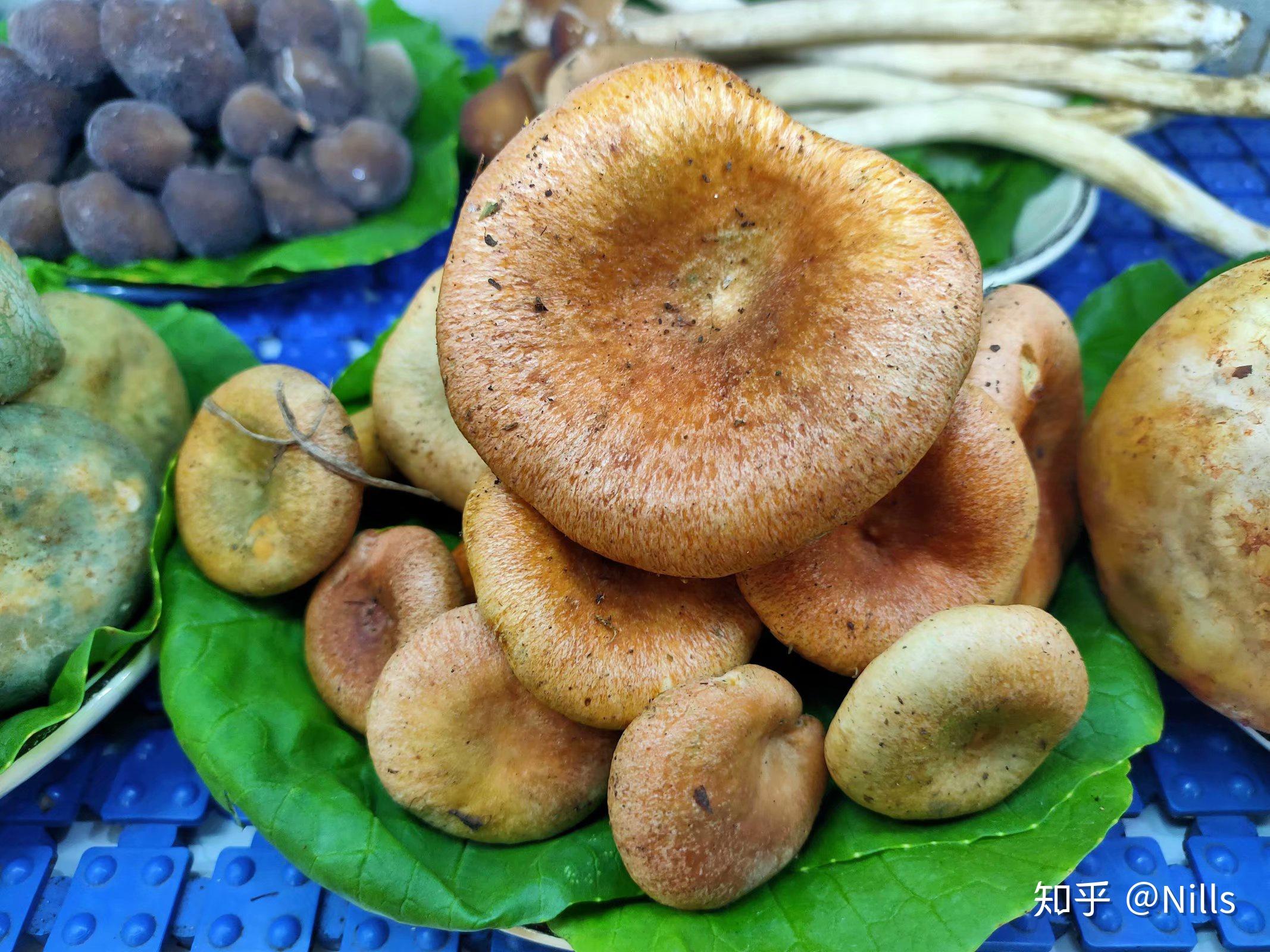 2020-11-2,一盒菇娘果,一串还算比较大颗比较好的红提,18.