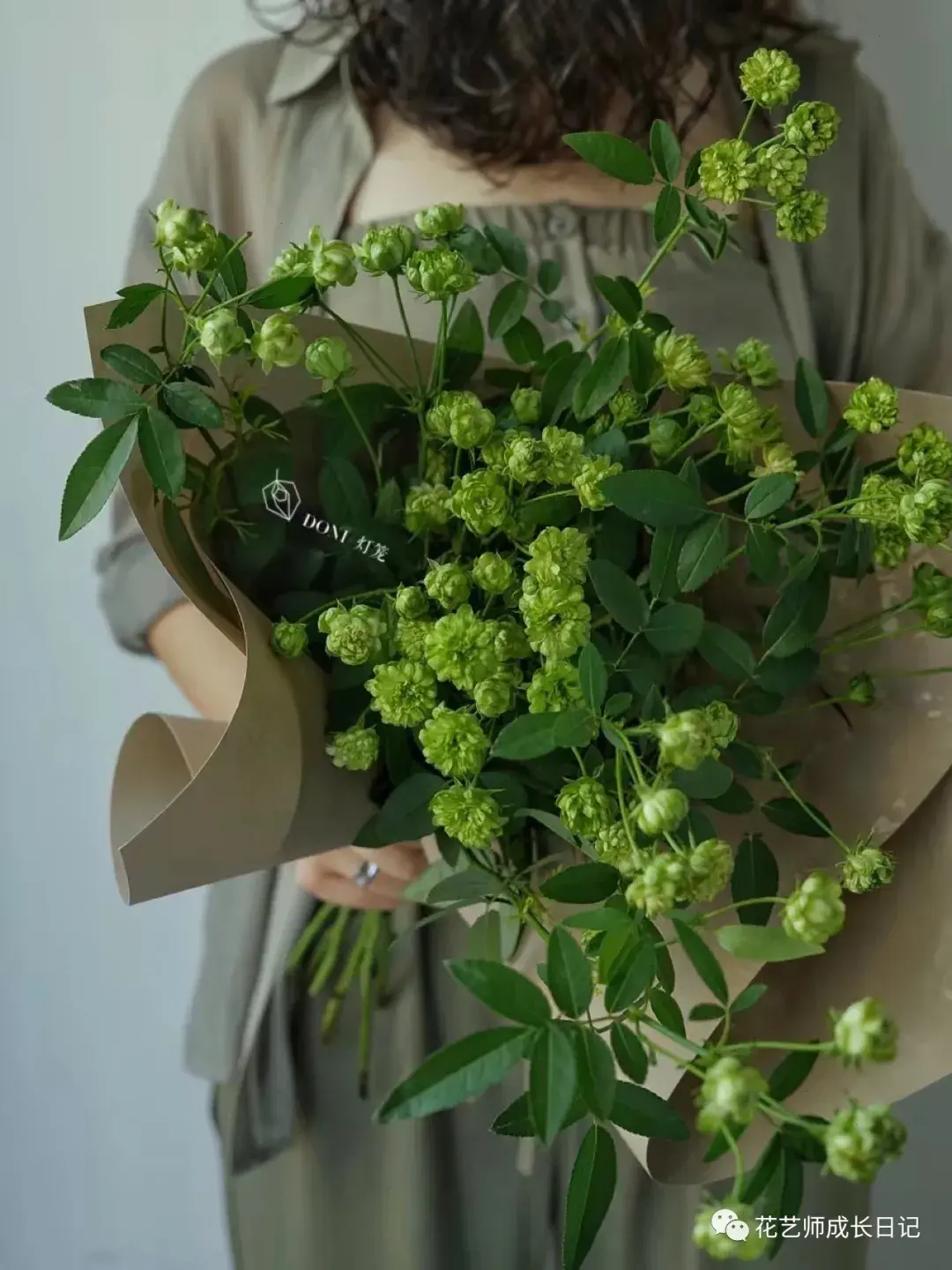 100朵玫瑰vol41绿闪电玫瑰一个个绿色小泡芙