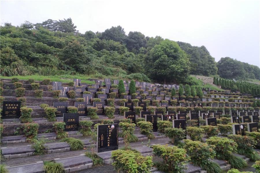 龙台山公墓重庆公墓图片