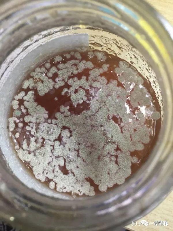 也可能由于本身的霉变,奶酪也可能带有黄曲霉毒素,因为奶酪是真菌和黄