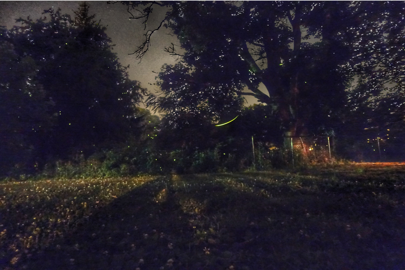 索尼黑卡可以拍星空吗?