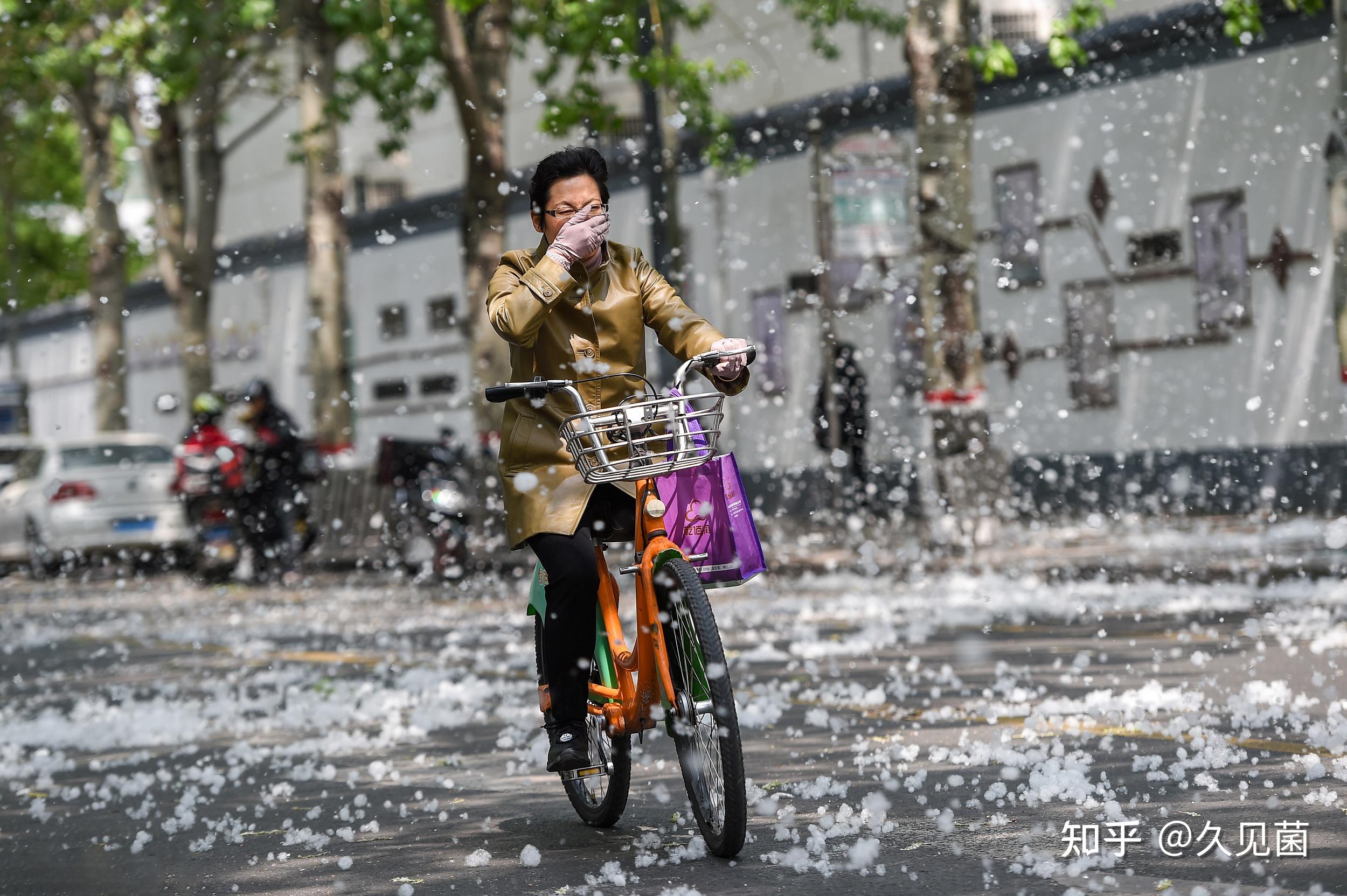 影响市容和自然生态环境每年春末夏初的时候,漫天飞舞的柳絮会严重