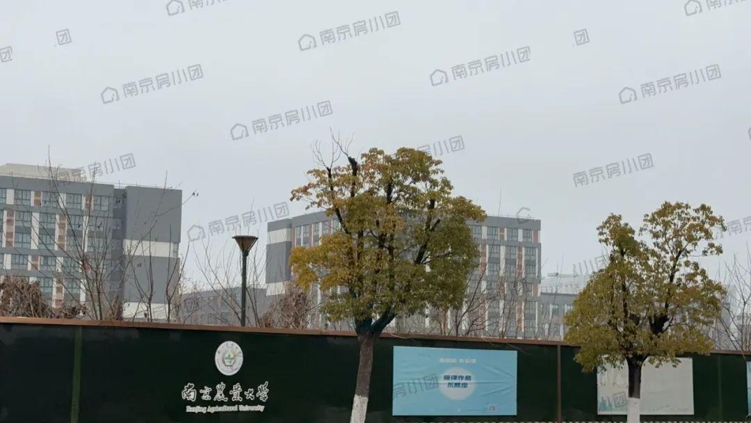 猛料南京又一所大学即将搬迁