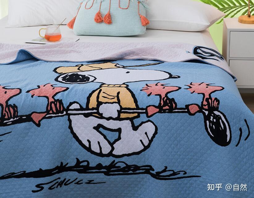 毛毯品牌排行榜前十名,毛毯推荐 - 知乎