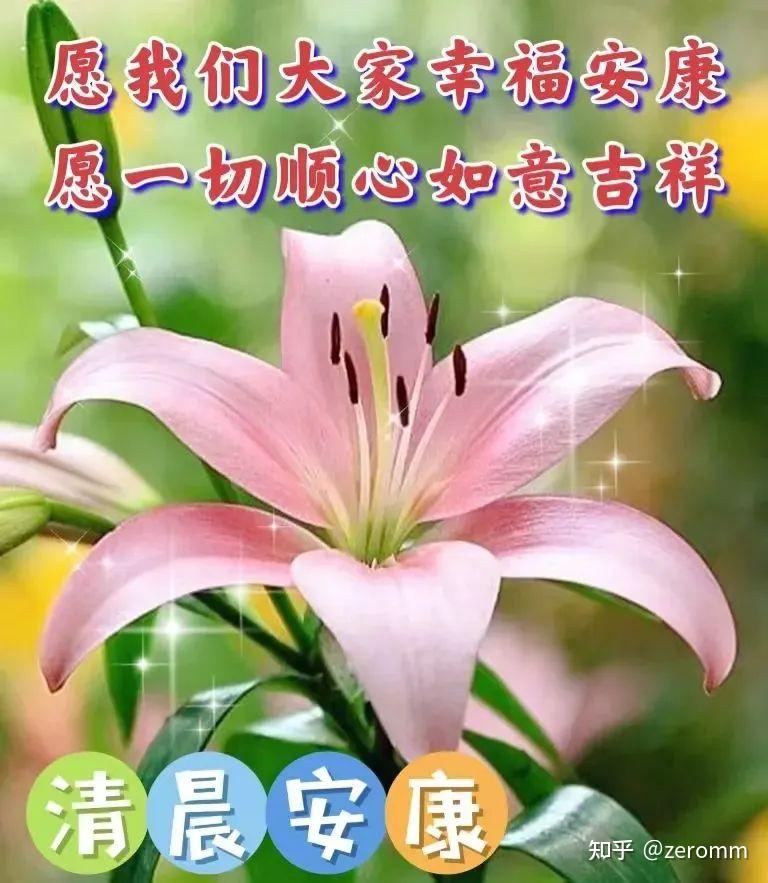 清晨送六好 笑笑心态好