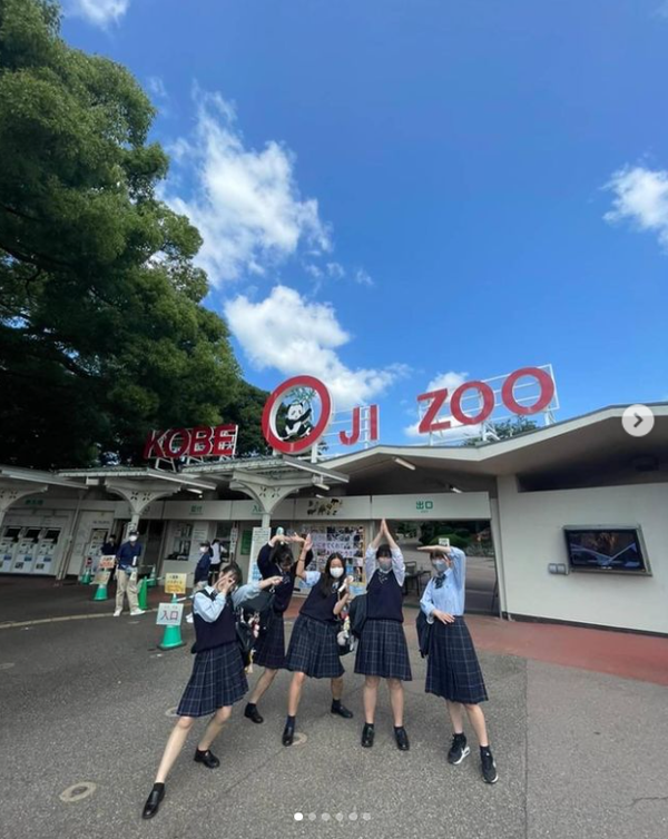 点击打开原图