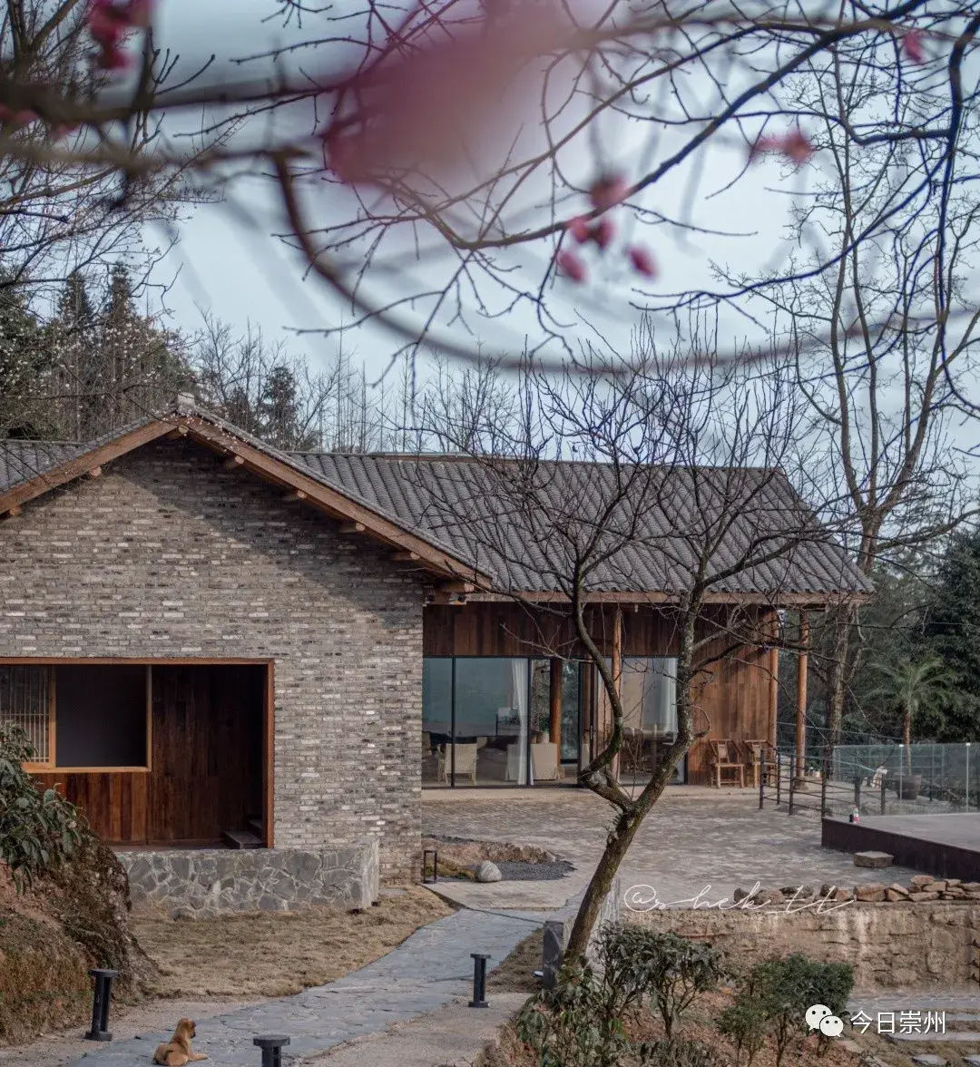 眼前的繁花小径,椿野小院位于崇州市文井江镇大坪村,云隐山野的民宿