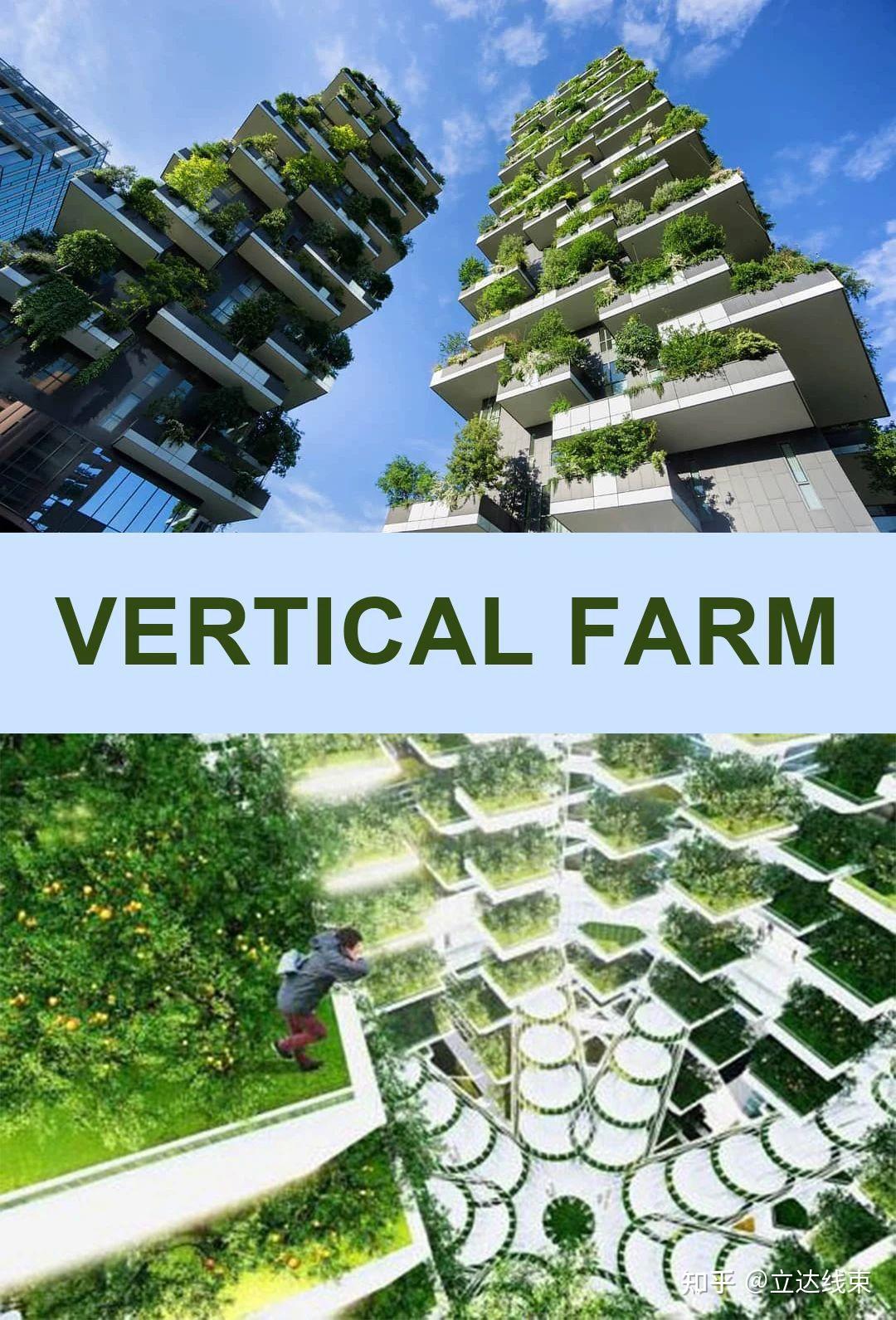 vertical farm图片