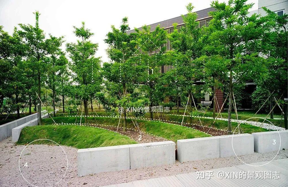 案例100例 | 国内外经典雨水花园案例合集 - 知乎