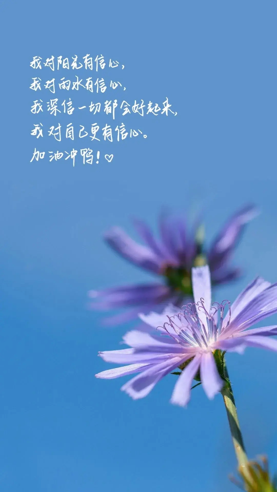 99张一看就让人励志努力奋斗的壁纸