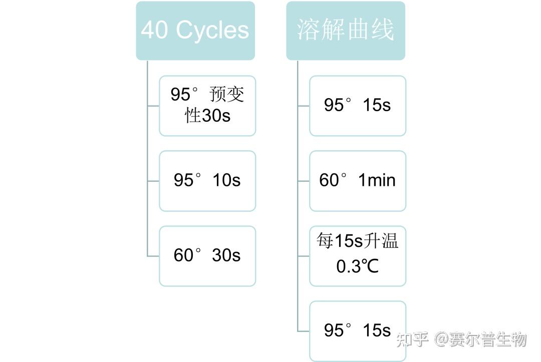 5年经验总结：荧光定量 PCR实操技术 - 知乎