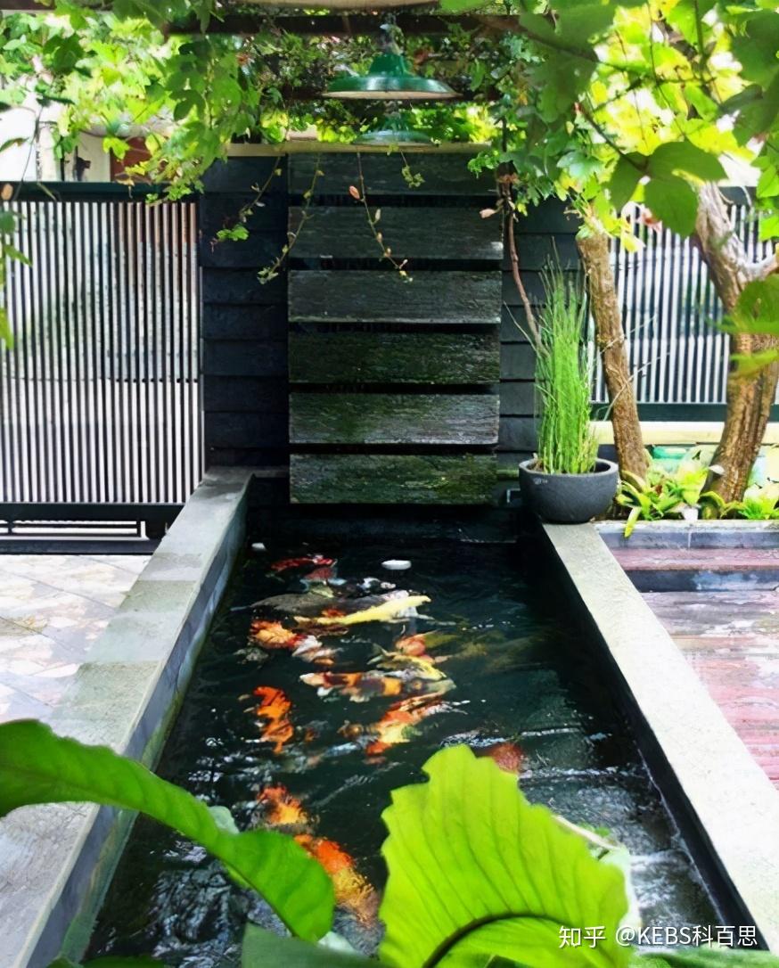 院子鱼池造型图图片