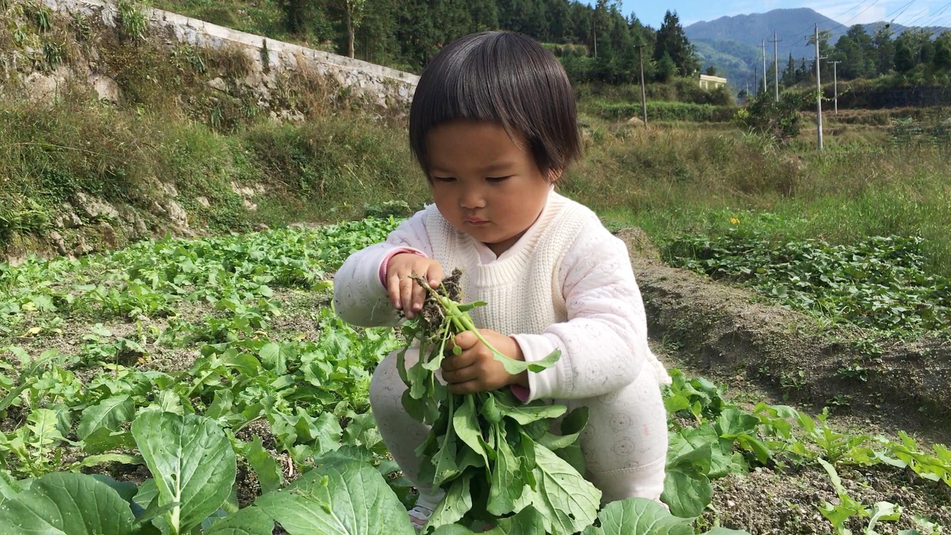 奶奶上山撿柴2歲寶寶也帶著去農村人是這樣帶小孩的