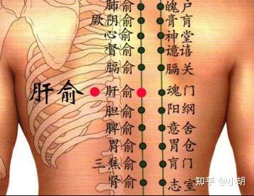 倪海厦针灸课笔记(14)足太阳膀胱经02 - 知乎