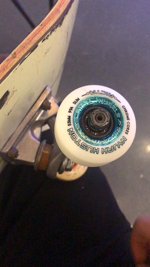 ricta bones raw的空转