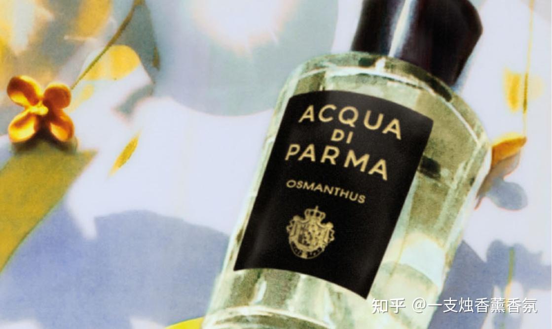 一支烛香评∣ACQUA DI PARMA帕尔玛之水格调系列馥桂 知乎
