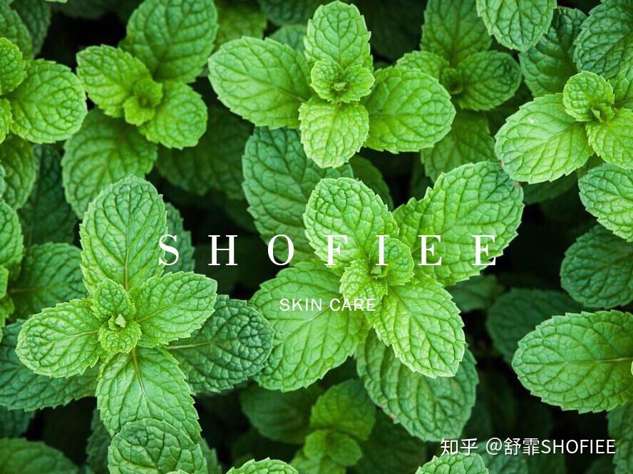 shofie舒霏酵母嫩肤保湿精华水补水保湿滋润养