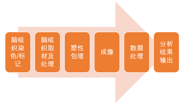 全脑精细成像技术——fMOST技术 - 知乎