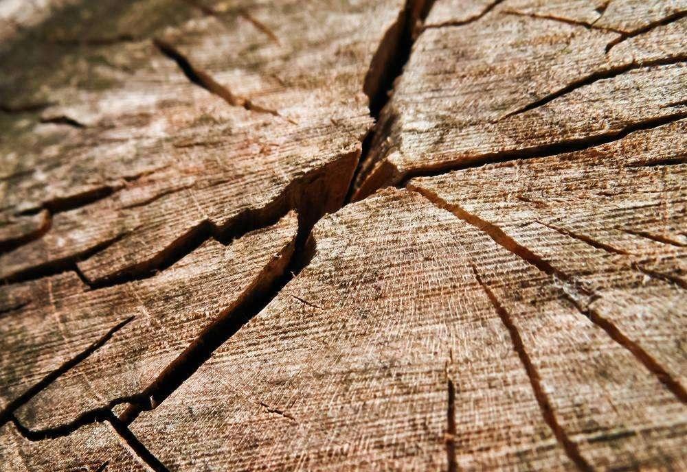 实木家具有时会出现木板开裂,框架扭曲,榫接松动等问题,主要是木材