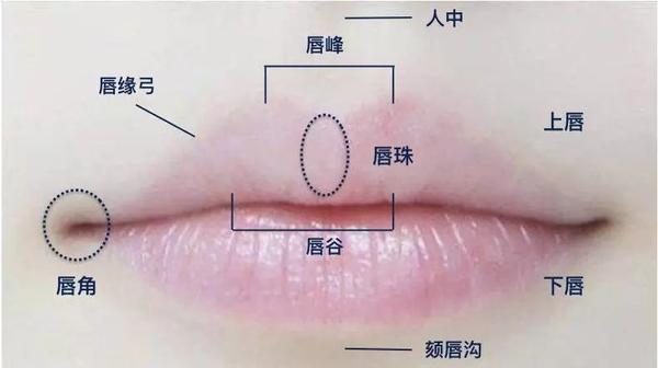 高阶唇妆指南5种不同唇形的唇妆技巧怎么涂口红都不出错