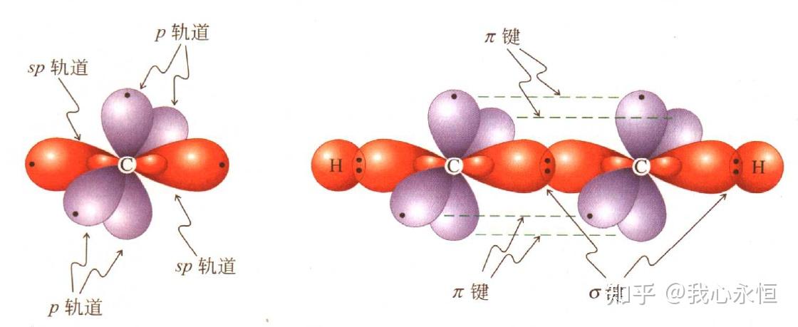 乙快分子是線型的,鍵短而強採用sp雜化,所以是直線型的分子圍繞乙炔