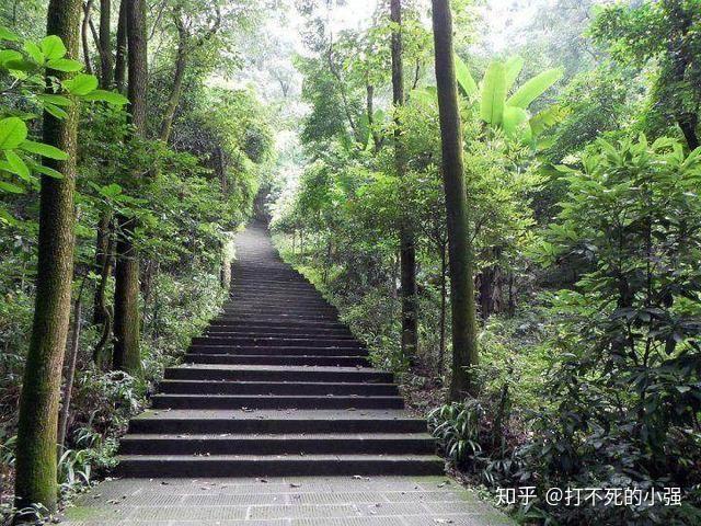 8月份去重庆旅游7天,有什么必需品要携带的?一