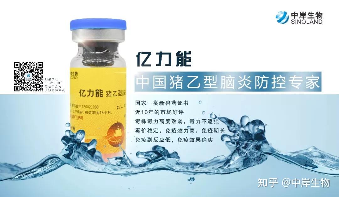 关于预防猪乙型脑炎的正确理念