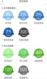 图标