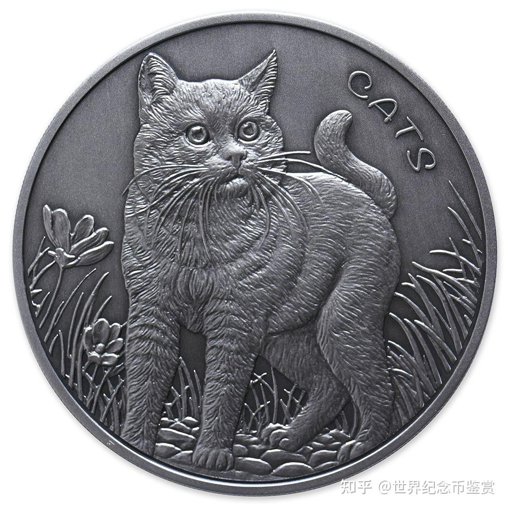 猫2022年斐济银币